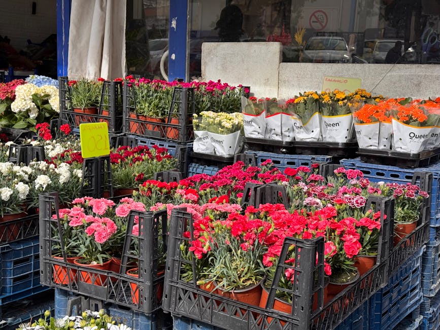 A display of vibrant potted carnations and chrysanthemums arranged in black plastic crates outside a flower shop. The flowers are in various shades of pink, red, white, yellow, and orange, with some w