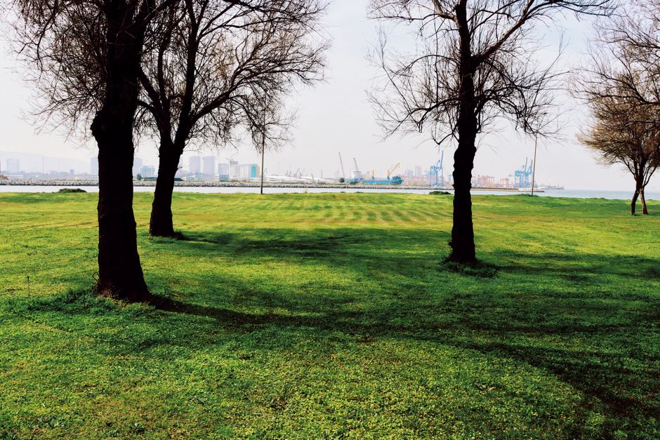 A scenic view of a grassy park with three large, leafless trees in the foreground, their dark branches contrasting against an overcast sky. The lawn is well-maintained with visible mowing lines, and t