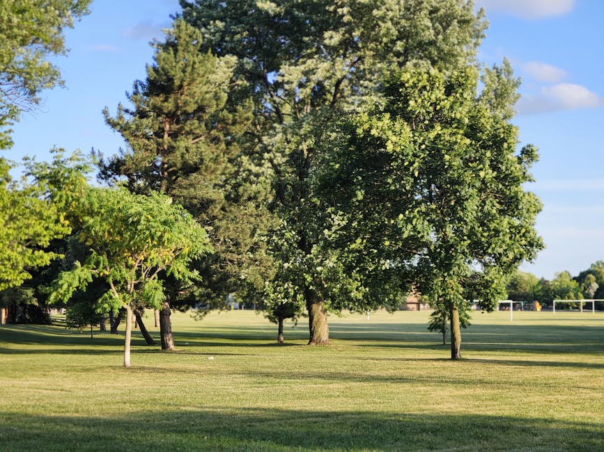 A scenic park scene featuring several large, leafy deciduous trees with vibrant green foliage, arranged on a well-maintained grassy lawn. The trees vary in size and shape, with some having broader can