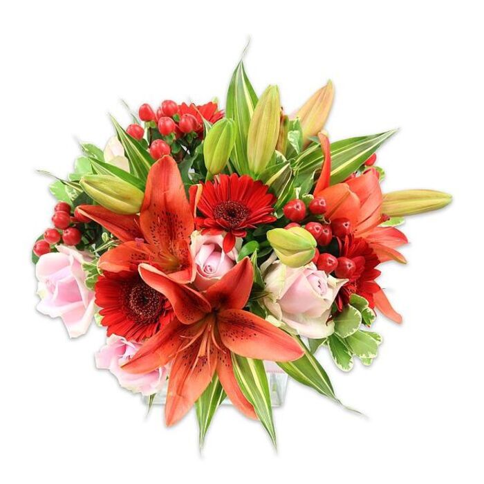 Presented on a bright white backdrop, this luxuriant bouquet reads like a small, personal garden gathered for a special occasion. Dominating the composition are several large orange-red Asiatic lilies with gracefully recurved petals and subtle speckling that catch the eye; their visible stamens and dark anthers add botanical texture and depth. Interspersed among the lilies are vivid, deep crimson Gerbera daisies whose many slender petals form a sunburst pattern around a darker central disk, providing energetic contrast to the larger lily forms. Soft blush-pink roses appear throughout in varying stages-from compact, velvety buds to more open, layered blooms-bringing a romantic softness that tempers the warmth of the reds and oranges. Shiny clusters of red hypericum berries nestle between stems, their glossy surfaces and compact roundness offering a jewel-like accent and a different mouthfeel to the predominantly petal-based palette. The bouquet is richly backed with an assortment of green foliage, including broad solid leaves that ground the arrangement and a few variegated leaves that introduce light streaks and lift the composition. A couple of unopened lily buds promise future blooms and movement. The overall silhouette is full and rounded, the work of deliberate, experienced hands, and under even studio lighting the textures-from satiny roses to papery lilies and waxy berries-are clearly articulated. As a local touch, this style of arrangement is one we craft often for neighbours around South Tottenham and the South Tottenham overground, available for careful same-day preparation by Flower Delivery South Tottenham for anniversaries, congratulations, or to brighten someone's day.