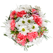 This bouquet, artfully composed by South Tottenham's local florists, feels like an ode to spring's quiet renewal and everyday joy. Centered in the design, dazzling white daisies-with golden-green eyes-anchor the arrangement, flanked by plush, coral-pink carnations whose ruffled softness adds warmth and playful depth. Between the showier blossoms, delicate sprays of gypsophila dance with airy grace, evoking a scattering of tiny northern stars above the varied greens. Blushing alstroemeria and slender eucalyptus leaves peek through, lending fragrance and gentle variation, much like the fresh greenery that lines Park View Road after a light rain. The bouquet's colour palette is striking and refreshingly uplifting, with each stem thoughtfully placed to evoke feelings of calm exuberance and heartfelt celebration. Available for same-day delivery across South Tottenham, this arrangement is perfectly suited for brightening birthdays, congratulating life's little wins, or simply sending a note of kindness to someone nearby. Its overall effect is tranquil yet spirited, reflecting the florist's devotion to capturing moments of everyday happiness and the unique charm of their North London neighbourhood.